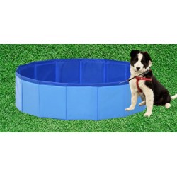 Piscina pentru animale companie 80 x 20 cm Piscina pentru animale companie 80 x 20 cm